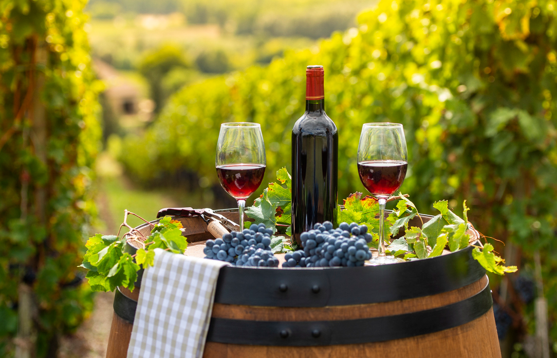 Beaujolais 2021 SDP Rungis